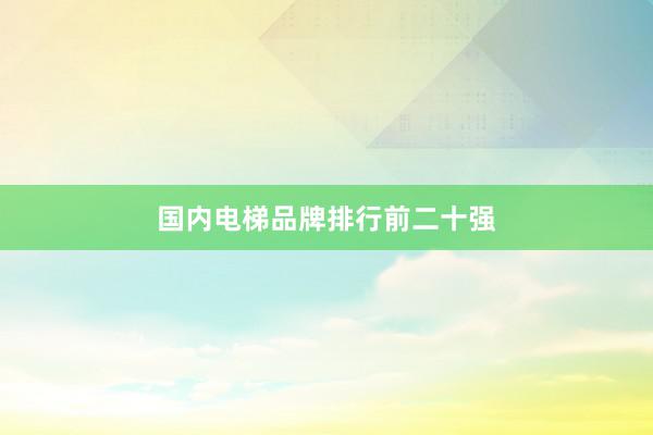 国内电梯品牌排行前二十强