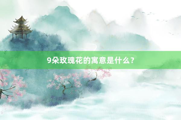 9朵玫瑰花的寓意是什么？