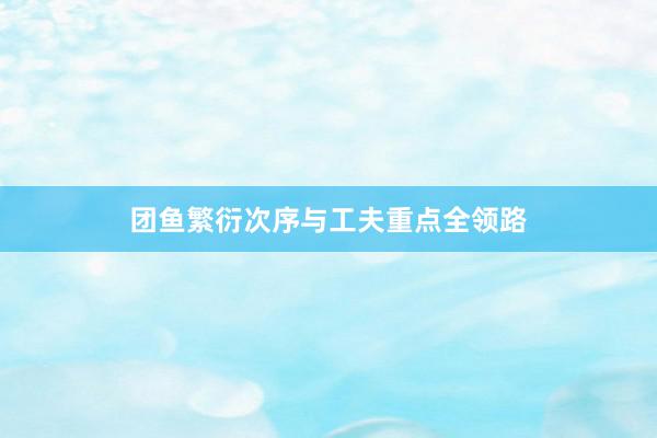 团鱼繁衍次序与工夫重点全领路