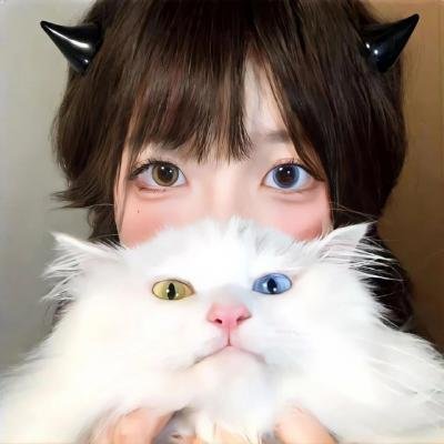 白莲花度假村第三季